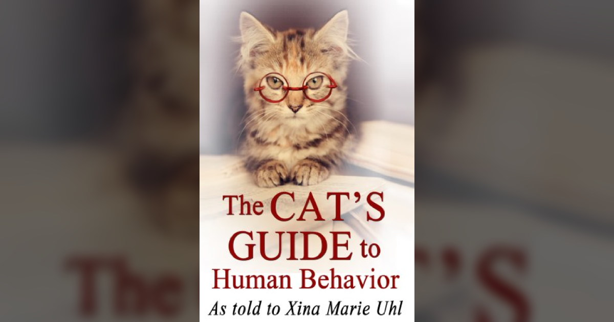 Funny Books As Written By Cats Awesome Cat Gifts