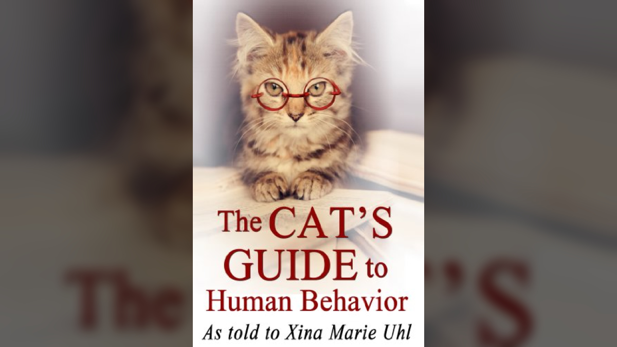 Funny Books As Written By Cats Awesome Cat Gifts